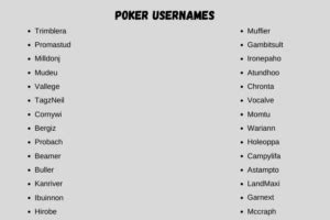 funny poker usernames